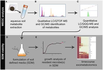 Construction of Viable Soil Defined Media Using Quantitative Metabolomics Analysis of Soil Metabolites